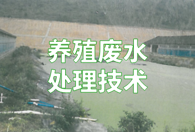 【环保干货】养殖废水如何处理？4个方法，快看你的猪场适合哪一种